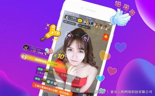 娇爷直播爆料视频下载网站,热门内容一键获取 第1张 娇爷直播爆料视频下载网站,热门内容一键获取 第1张