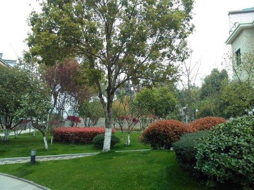 浙江违建爆料最新消息,多起违建项目被查处，整治行动持续进行  第2张